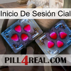 Inicio De Sesión Cial 15